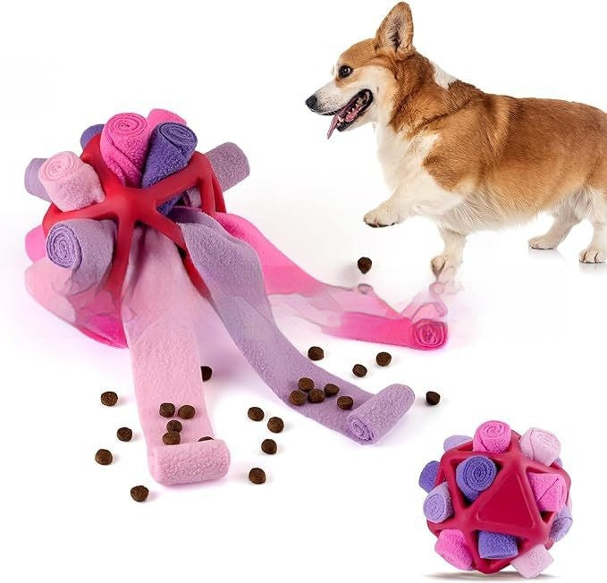 Interactive Pet Sniffing Ball – 8 Colours | Dogs & Cats