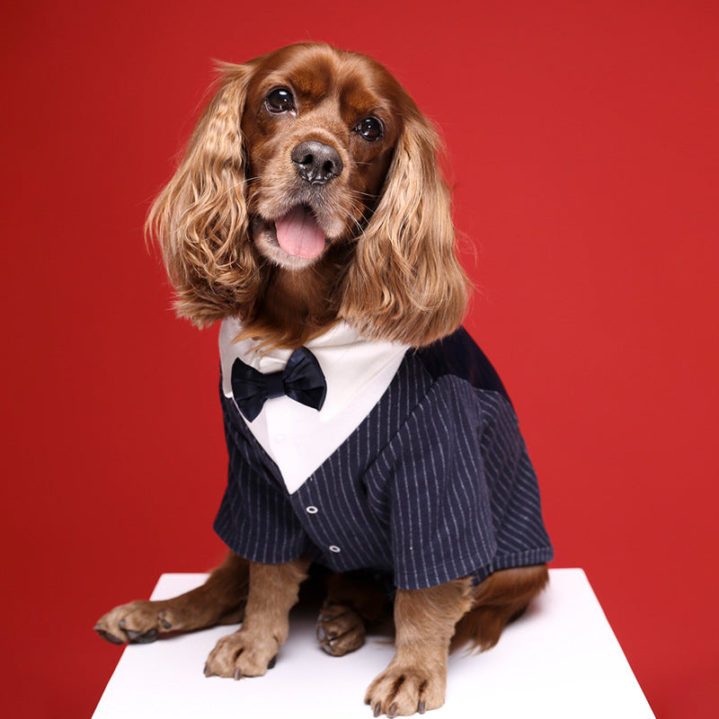 Gentleman Suit | Wedding & Formal Wear | Dogs & Cats | Light Grey & Navy Blue