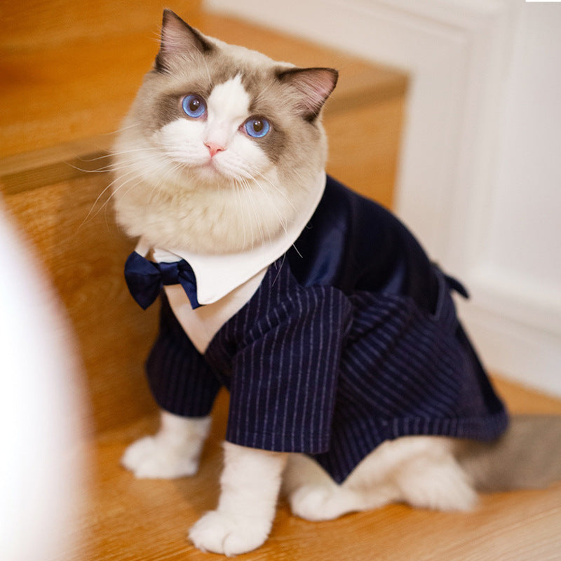 Gentleman Suit | Wedding & Formal Wear | Dogs & Cats | Light Grey & Navy Blue