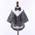 Gentleman Suit | Wedding & Formal Wear | Dogs & Cats | Light Grey & Navy Blue