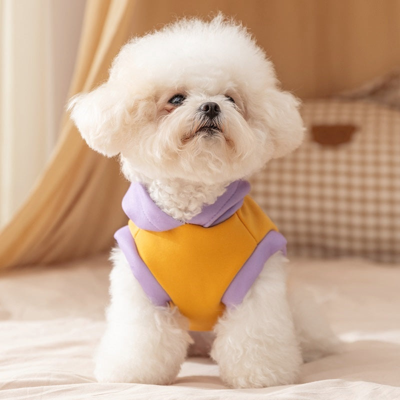 Korean Bear Thin Fleece Hoodie for Dogs & Cats | Grievance & Surprise | Autumn/Winter