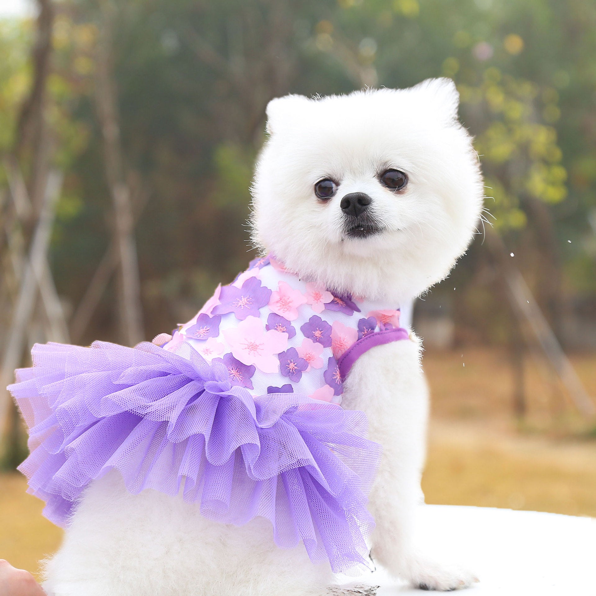 Princess Peach Blossom Pet Dress – Cotton Skirt for Dogs