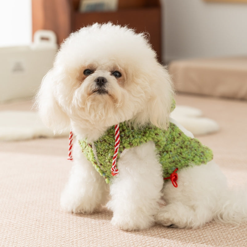 Korean 'Grievance Bear' Hoodie for Dogs & Cats | Autumn/Winter