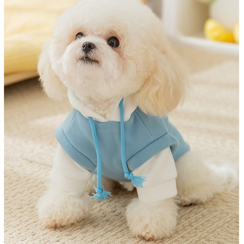 Cute Puppy Graphic Hoodie for Dogs & Cats | Autumn/Winter
