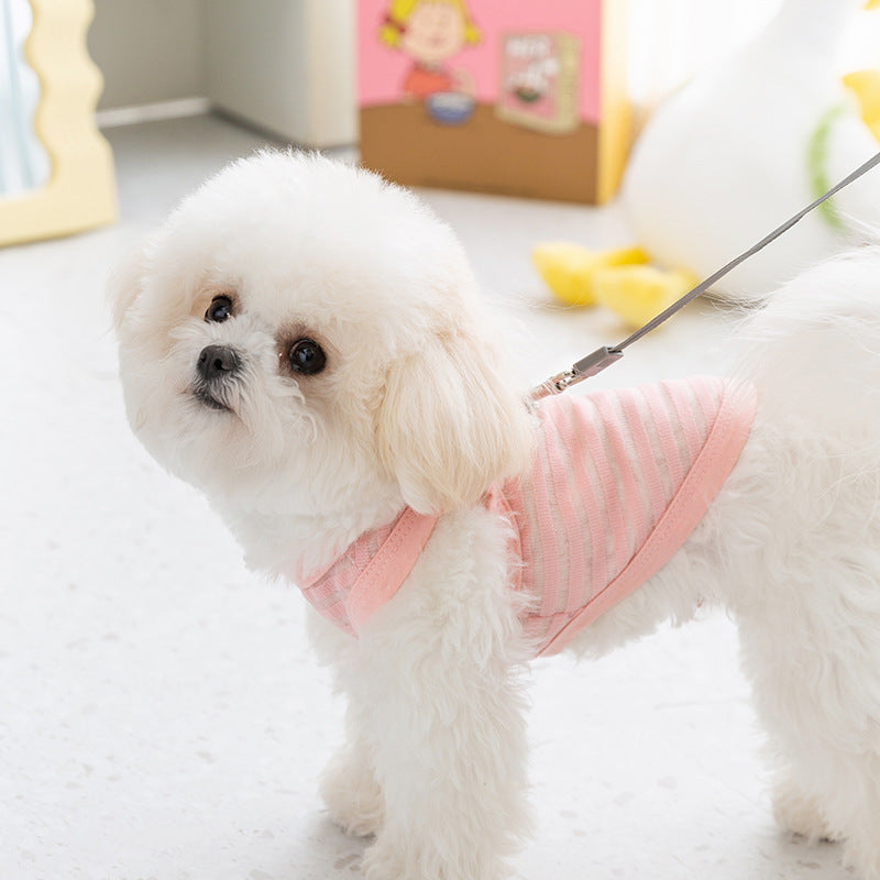 Princess Style Two-Leg Pet Coat | Ollie Pink & Leo Black | XS–XXL