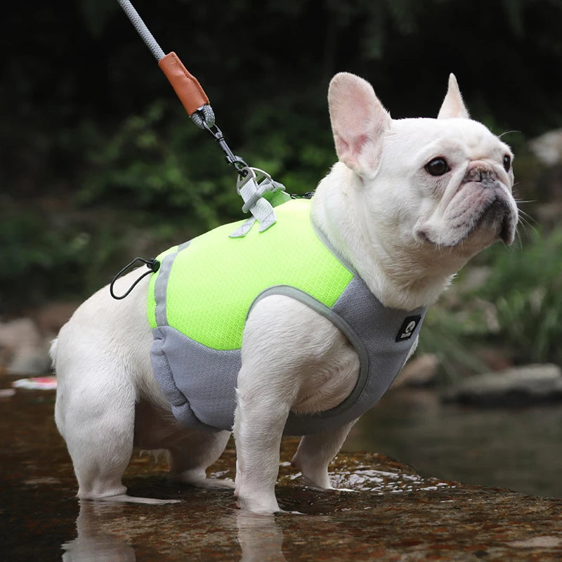 Summer Cooling Dog Vest – Breathable Ice Fabric with Chest Straps