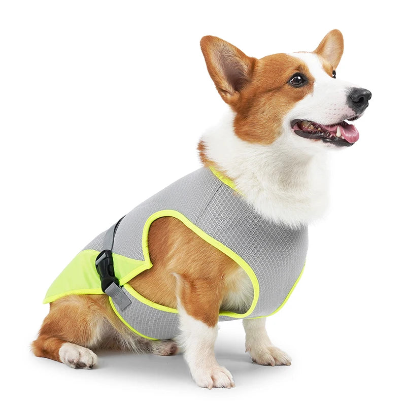 Summer Cooling Dog Vest – Breathable Ice Fabric with Chest Straps