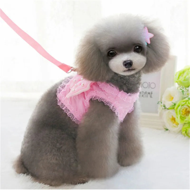 Angel Wing Pearl Harness & Leash Set | Small Dogs & Cats