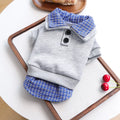 Preppy Style Pet Pullover | Blue with Checked Collar & Hem | Small Dogs & Cats