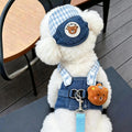 FurlyTails 3-Piece Denim Pet Outdoor Set | Harness, Leash & Sun Hat | Dogs & Cats | XS–XL