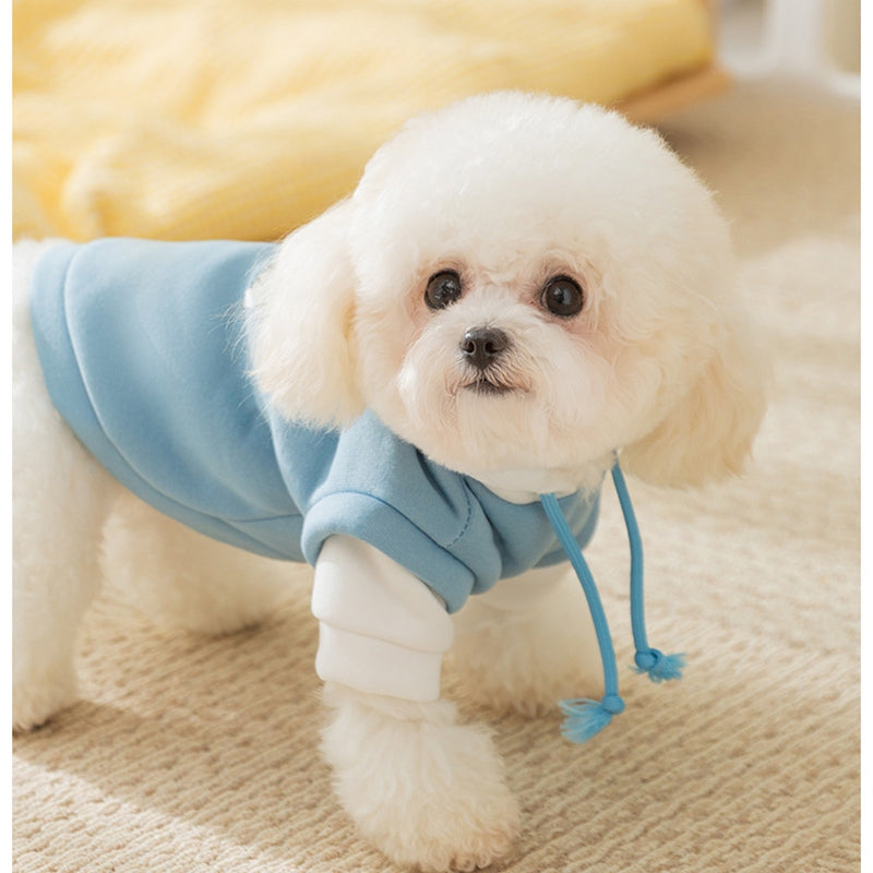Cute Puppy Graphic Hoodie for Dogs & Cats | Autumn/Winter