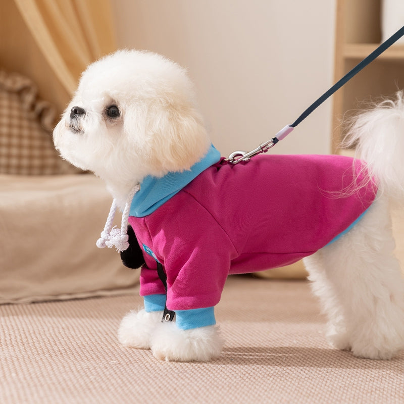 Colour-Block Cartoon Hoodie for Dogs & Cats | Autumn/Winter